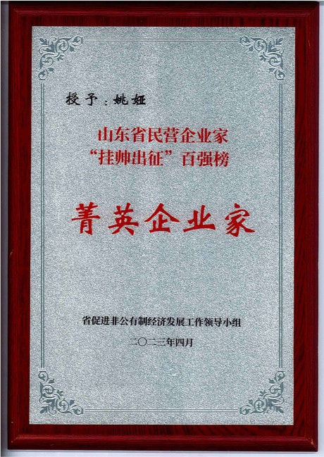 菁英企业家 菁英企业家